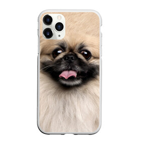 Чехол для iPhone 11 Pro матовый с принтом Пекинес в Новосибирске, Силикон |  | Тематика изображения на принте: животное | пекинес | порода | собака