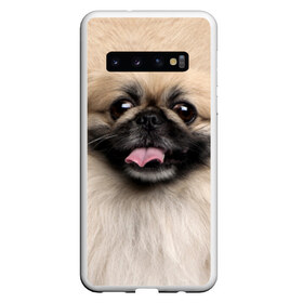 Чехол для Samsung Galaxy S10 с принтом Пекинес в Новосибирске, Силикон | Область печати: задняя сторона чехла, без боковых панелей | Тематика изображения на принте: животное | пекинес | порода | собака