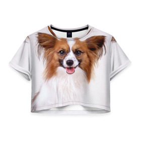 Женская футболка 3D укороченная с принтом Папийон в Новосибирске, 100% полиэстер | круглая горловина, длина футболки до линии талии, рукава с отворотами | Тематика изображения на принте: животное | папийон | порода | собака