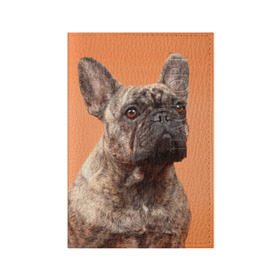 Обложка для паспорта матовая кожа с принтом Французский бульдог в Новосибирске, натуральная матовая кожа | размер 19,3 х 13,7 см; прозрачные пластиковые крепления | Тематика изображения на принте: животное | порода | собака | французский бульдог