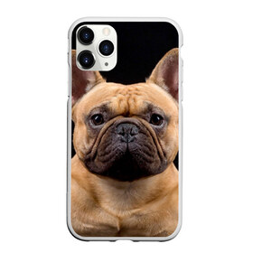 Чехол для iPhone 11 Pro Max матовый с принтом Французский бульдог в Новосибирске, Силикон |  | Тематика изображения на принте: животное | порода | собака | французский бульдог