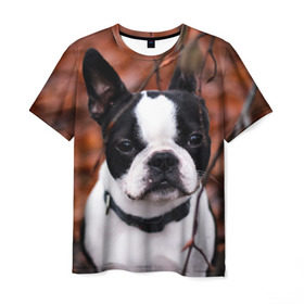 Мужская футболка 3D с принтом Бостон Терьер в Новосибирске, 100% полиэфир | прямой крой, круглый вырез горловины, длина до линии бедер | животное | порода | собака | французский бульдог
