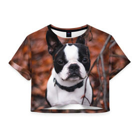 Женская футболка 3D укороченная с принтом Бостон Терьер в Новосибирске, 100% полиэстер | круглая горловина, длина футболки до линии талии, рукава с отворотами | животное | порода | собака | французский бульдог