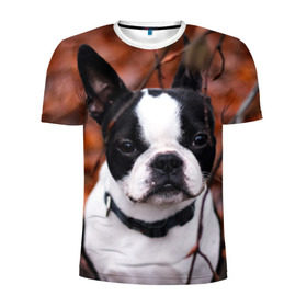 Мужская футболка 3D спортивная с принтом Бостон Терьер в Новосибирске, 100% полиэстер с улучшенными характеристиками | приталенный силуэт, круглая горловина, широкие плечи, сужается к линии бедра | животное | порода | собака | французский бульдог