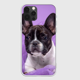 Чехол для iPhone 12 Pro Max с принтом Французский бульдог в Новосибирске, Силикон |  | Тематика изображения на принте: животное | порода | собака | французский бульдог