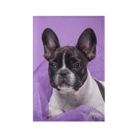 Обложка для паспорта матовая кожа с принтом Французский бульдог в Новосибирске, натуральная матовая кожа | размер 19,3 х 13,7 см; прозрачные пластиковые крепления | животное | порода | собака | французский бульдог