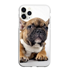 Чехол для iPhone 11 Pro матовый с принтом Французский бульдог в Новосибирске, Силикон |  | Тематика изображения на принте: животное | порода | собака | французский бульдог