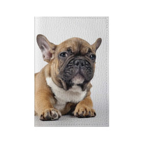 Обложка для паспорта матовая кожа с принтом Французский бульдог в Новосибирске, натуральная матовая кожа | размер 19,3 х 13,7 см; прозрачные пластиковые крепления | Тематика изображения на принте: животное | порода | собака | французский бульдог