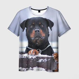 Мужская футболка 3D с принтом Ротвейлер в Новосибирске, 100% полиэфир | прямой крой, круглый вырез горловины, длина до линии бедер | животное | порода | ротвейлер | собака