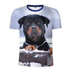 Мужская футболка 3D спортивная с принтом Ротвейлер в Новосибирске, 100% полиэстер с улучшенными характеристиками | приталенный силуэт, круглая горловина, широкие плечи, сужается к линии бедра | животное | порода | ротвейлер | собака