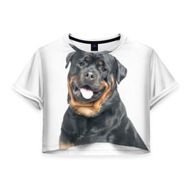 Женская футболка 3D укороченная с принтом Ротвейлер в Новосибирске, 100% полиэстер | круглая горловина, длина футболки до линии талии, рукава с отворотами | животное | порода | ротвейлер | собака
