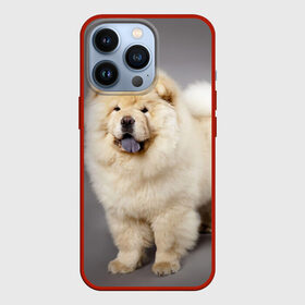 Чехол для iPhone 13 Pro с принтом Чау чау в Новосибирске,  |  | Тематика изображения на принте: животное | порода | собака | чау чау