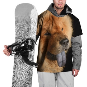 Накидка на куртку 3D с принтом Чау-чау в Новосибирске, 100% полиэстер |  | Тематика изображения на принте: животное | порода | собака | чау чау
