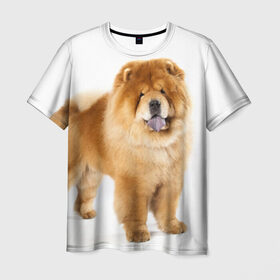 Мужская футболка 3D с принтом Чау-чау в Новосибирске, 100% полиэфир | прямой крой, круглый вырез горловины, длина до линии бедер | животное | порода | собака | чау чау