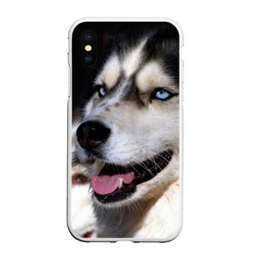 Чехол для iPhone XS Max матовый с принтом Хаски в Новосибирске, Силикон | Область печати: задняя сторона чехла, без боковых панелей | животное | порода | собака | хаски