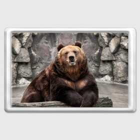 Магнит 45*70 с принтом Русский медведь в Новосибирске, Пластик | Размер: 78*52 мм; Размер печати: 70*45 | Тематика изображения на принте: медведь | россия | русский | русский медведь
