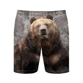 Мужские шорты 3D спортивные с принтом Русский медведь в Новосибирске,  |  | медведь | россия | русский | русский медведь