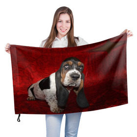 Флаг 3D с принтом Бассет-хаунд в Новосибирске, 100% полиэстер | плотность ткани — 95 г/м2, размер — 67 х 109 см. Принт наносится с одной стороны | Тематика изображения на принте: бархат | бассет хаунд | взгляд | домашнее | животное | порода | собака | уши