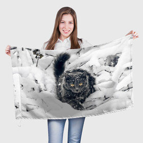 Флаг 3D с принтом Кот в снегу в Новосибирске, 100% полиэстер | плотность ткани — 95 г/м2, размер — 67 х 109 см. Принт наносится с одной стороны | ветки | дикий | домашнее | животное | зима | кот | котэ | кошка | снег | сугробы
