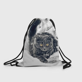 Рюкзак-мешок 3D с принтом Кот в снегу в Новосибирске, 100% полиэстер | плотность ткани — 200 г/м2, размер — 35 х 45 см; лямки — толстые шнурки, застежка на шнуровке, без карманов и подкладки | ветки | дикий | домашнее | животное | зима | кот | котэ | кошка | снег | сугробы