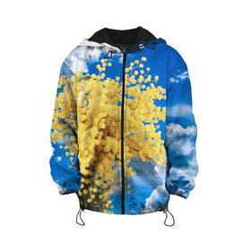 Детская куртка 3D с принтом Мимозы в Новосибирске, 100% полиэстер | застежка — молния, подол и капюшон оформлены резинкой с фиксаторами, по бокам — два кармана без застежек, один потайной карман на груди, плотность верхнего слоя — 90 г/м2; плотность флисового подклада — 260 г/м2 | 8 марта | весна | мимозы | небо | облака | цветы