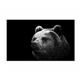 Бумага для упаковки 3D с принтом Медведь в Новосибирске, пластик и полированная сталь | круглая форма, металлическое крепление в виде кольца | Тематика изображения на принте: бурый | дикий | животное | медведь | россия | символ | тайги | фото | хищник | хозяин | черно белое