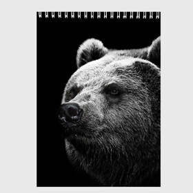 Скетчбук с принтом Медведь в Новосибирске, 100% бумага
 | 48 листов, плотность листов — 100 г/м2, плотность картонной обложки — 250 г/м2. Листы скреплены сверху удобной пружинной спиралью | Тематика изображения на принте: бурый | дикий | животное | медведь | россия | символ | тайги | фото | хищник | хозяин | черно белое