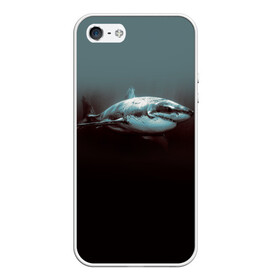 Чехол для iPhone 5/5S матовый с принтом Акула в Новосибирске, Силикон | Область печати: задняя сторона чехла, без боковых панелей | акула | море | хищник