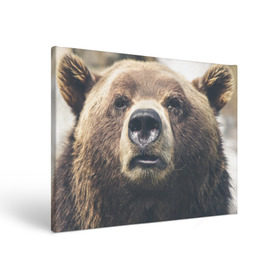 Холст прямоугольный с принтом Русский медведь в Новосибирске, 100% ПВХ |  | медведь | россия | русский | символ | ссср