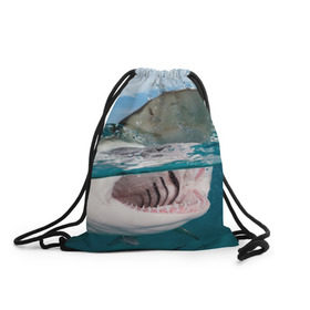 Рюкзак-мешок 3D с принтом Хищная акула в Новосибирске, 100% полиэстер | плотность ткани — 200 г/м2, размер — 35 х 45 см; лямки — толстые шнурки, застежка на шнуровке, без карманов и подкладки | акула | море | океан | природа | хищник