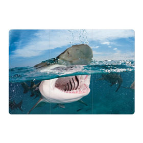 Магнитный плакат 3Х2 с принтом Хищная акула в Новосибирске, Полимерный материал с магнитным слоем | 6 деталей размером 9*9 см | Тематика изображения на принте: акула | море | океан | природа | хищник