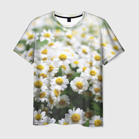 Мужская футболка 3D с принтом Полевые ромашки в Новосибирске, 100% полиэфир | прямой крой, круглый вырез горловины, длина до линии бедер | Тематика изображения на принте: природа | ромашка | цветок | цветы