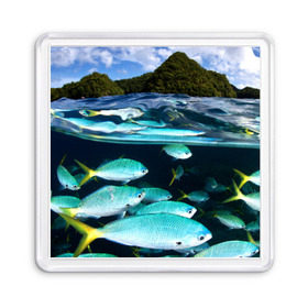 Магнит 55*55 с принтом Подводный мир в Новосибирске, Пластик | Размер: 65*65 мм; Размер печати: 55*55 мм | Тематика изображения на принте: вода | море | океан | природа | рыба | рыбы