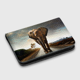 Картхолдер с принтом с принтом Дикий слон в Новосибирске, натуральная матовая кожа | размер 7,3 х 10 см; кардхолдер имеет 4 кармана для карт; | Тематика изображения на принте: слон