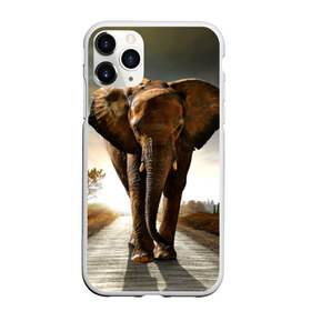 Чехол для iPhone 11 Pro матовый с принтом Дикий слон в Новосибирске, Силикон |  | слон