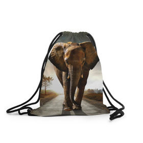 Рюкзак-мешок 3D с принтом Дикий слон в Новосибирске, 100% полиэстер | плотность ткани — 200 г/м2, размер — 35 х 45 см; лямки — толстые шнурки, застежка на шнуровке, без карманов и подкладки | слон