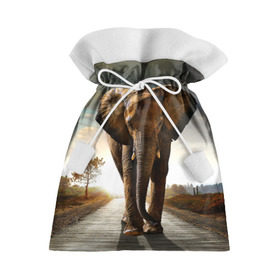 Подарочный 3D мешок с принтом Дикий слон в Новосибирске, 100% полиэстер | Размер: 29*39 см | Тематика изображения на принте: слон
