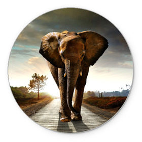 Коврик круглый с принтом Дикий слон в Новосибирске, резина и полиэстер | круглая форма, изображение наносится на всю лицевую часть | слон