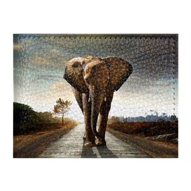 Обложка для студенческого билета с принтом Дикий слон в Новосибирске, натуральная кожа | Размер: 11*8 см; Печать на всей внешней стороне | слон