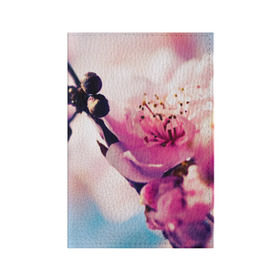 Обложка для паспорта матовая кожа с принтом Цветущая вишня в Новосибирске, натуральная матовая кожа | размер 19,3 х 13,7 см; прозрачные пластиковые крепления | вишня | дерево | небо | природа | черешня | ягода