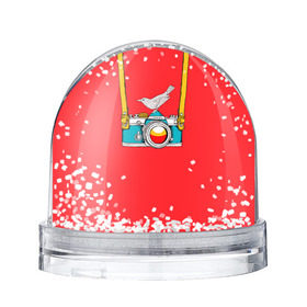 Снежный шар с принтом Фотоаппарат с птичкой в Новосибирске, Пластик | Изображение внутри шара печатается на глянцевой фотобумаге с двух сторон | camera | зеркалка | камера | птичка | фотик | фото | фотоаппарат | фотографировать