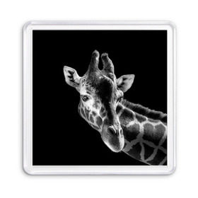 Магнит 55*55 с принтом Жираф в Новосибирске, Пластик | Размер: 65*65 мм; Размер печати: 55*55 мм | Тематика изображения на принте: африка | животное | жираф | фон | фото | черно белое | черный