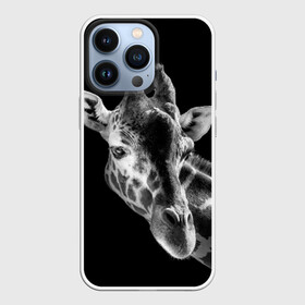 Чехол для iPhone 13 Pro с принтом Жираф в Новосибирске,  |  | африка | животное | жираф | фон | фото | черно белое | черный
