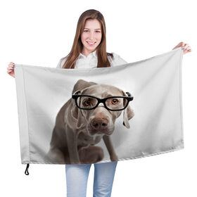 Флаг 3D с принтом Собака в очках в Новосибирске, 100% полиэстер | плотность ткани — 95 г/м2, размер — 67 х 109 см. Принт наносится с одной стороны | в очках | дог | животное | очки | прикол | пятнистый | собака | щенок