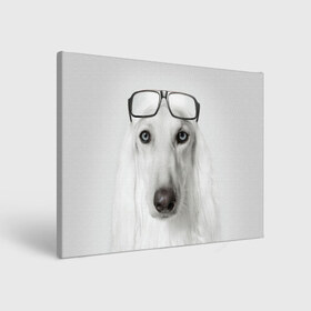 Холст прямоугольный с принтом Собака в очках в Новосибирске, 100% ПВХ |  | афганская | белая | борзая | в очках | животное | очки | прикол | собака