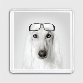Магнит 55*55 с принтом Собака в очках в Новосибирске, Пластик | Размер: 65*65 мм; Размер печати: 55*55 мм | Тематика изображения на принте: афганская | белая | борзая | в очках | животное | очки | прикол | собака