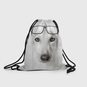 Рюкзак-мешок 3D с принтом Собака в очках в Новосибирске, 100% полиэстер | плотность ткани — 200 г/м2, размер — 35 х 45 см; лямки — толстые шнурки, застежка на шнуровке, без карманов и подкладки | Тематика изображения на принте: афганская | белая | борзая | в очках | животное | очки | прикол | собака