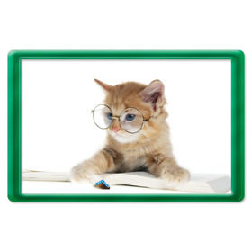 Магнит 45*70 с принтом Кот в очках в Новосибирске, Пластик | Размер: 78*52 мм; Размер печати: 70*45 | домашнее | животное | книга | кот | кот в очках | котэ | очки | прикол | умный | ученый | читает