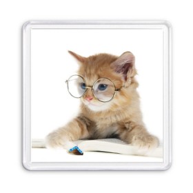 Магнит 55*55 с принтом Кот в очках в Новосибирске, Пластик | Размер: 65*65 мм; Размер печати: 55*55 мм | домашнее | животное | книга | кот | кот в очках | котэ | очки | прикол | умный | ученый | читает