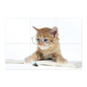 Магнитный плакат 3Х2 с принтом Кот в очках в Новосибирске, Полимерный материал с магнитным слоем | 6 деталей размером 9*9 см | домашнее | животное | книга | кот | кот в очках | котэ | очки | прикол | умный | ученый | читает